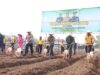 Dukung Percepatan Swasembada Pangan, Dandim 0808/Blitar Bersinergi Ikuti Penanaman Benih Jagung Polres Blitar Kota